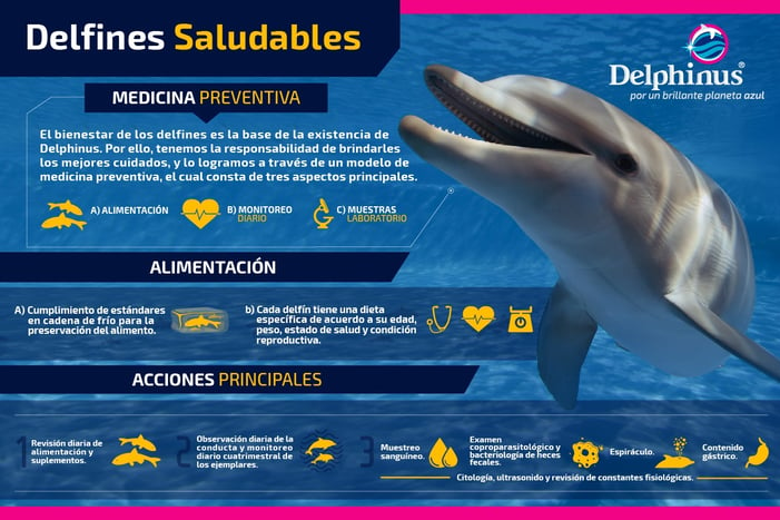 Los nutricionistas advierten contra la Dieta Delfín