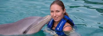 cosas_que_debes_hacer_una_vez_en_la_vida_-_nado_con_delfines.png