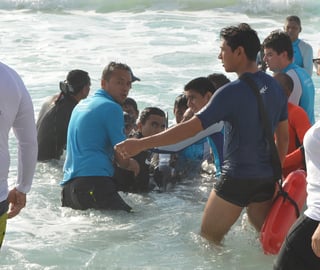 delfines-varados-delphinus.jpg