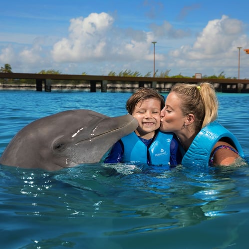 delphinus-playa-mujeres