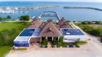 Delphinus puerto morelos