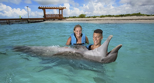 Nado con delfines riviera maya- Delphinus