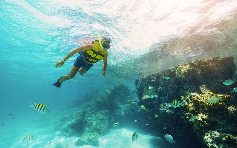 snorkel
