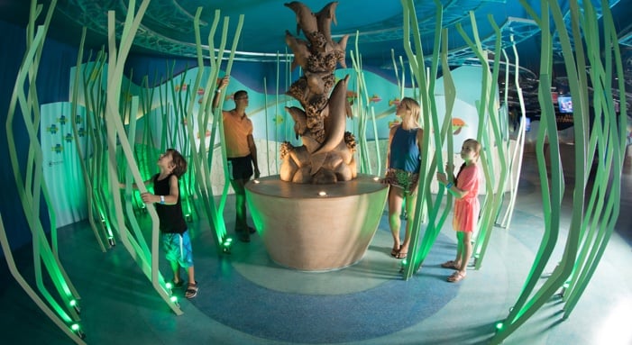 What other tourist attractions are there in the Interactive Aquarium?