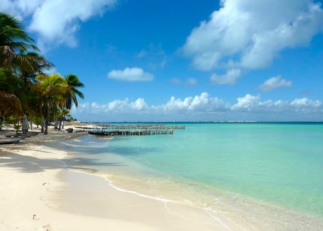 isla-mujeres-playas-mas-hermosas-delphinus.png