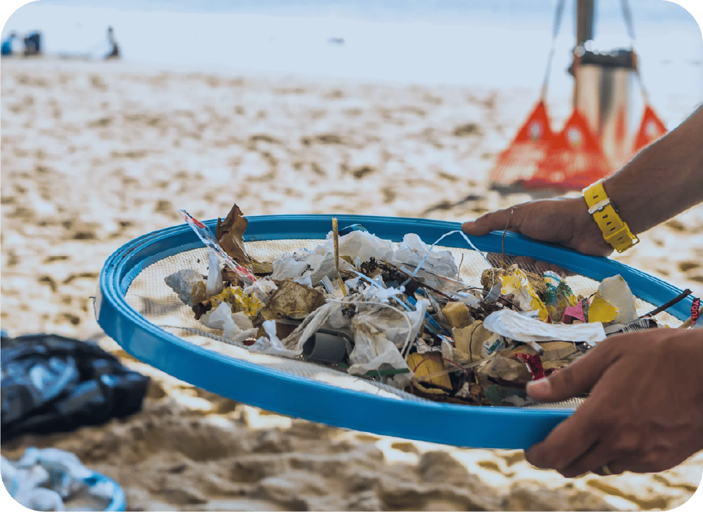 Beach and mangroves cleaning program