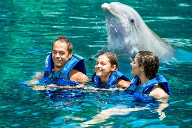 nado con delfines