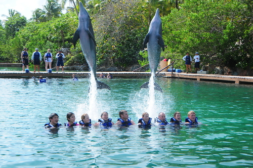 nado-con-delfines-en-cancun.png