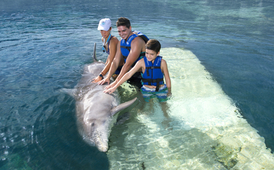 nado_con_delfines_-_que_hacer_en_cancun_-_Delphinus.png