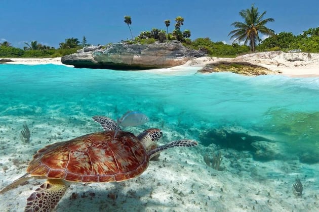 playa del carmen