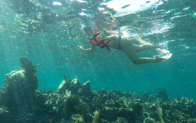 snorkeling en playa mujeres