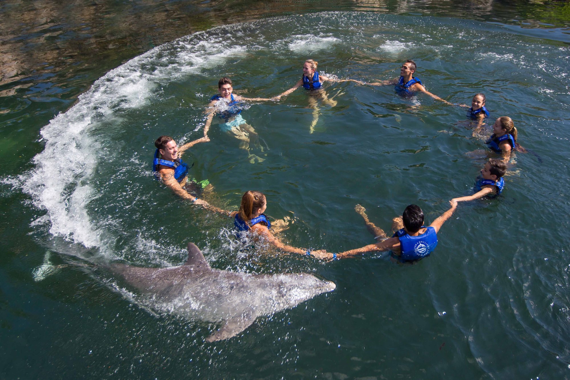 Familia_nadando_con_delfines_Xcaret-1