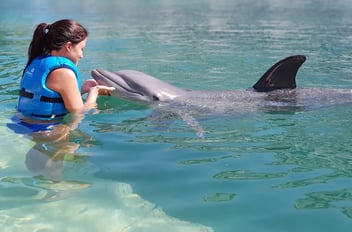 Ideas for vacations with kids  to the caribbean 