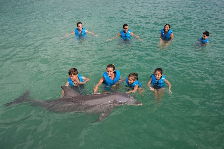 delfines en Xel-Há