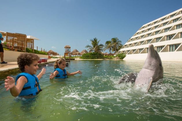 visita Delphinus Cancun en invierno junto con tu familia