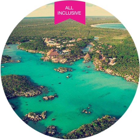Dolphinclusive Splash Xel Ha Park Things To Do In Cancun