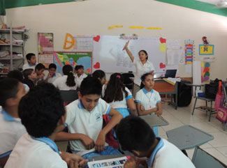 nado con delfines en mexico cancun riviera maya