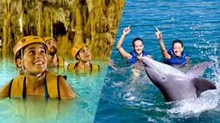 parks-in-cancun-delphinus-dolphinclusive-xplor.png