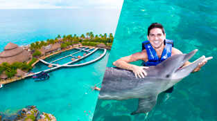 parks-in-cancun-delphinus-xcaret-dolphin-tour.png