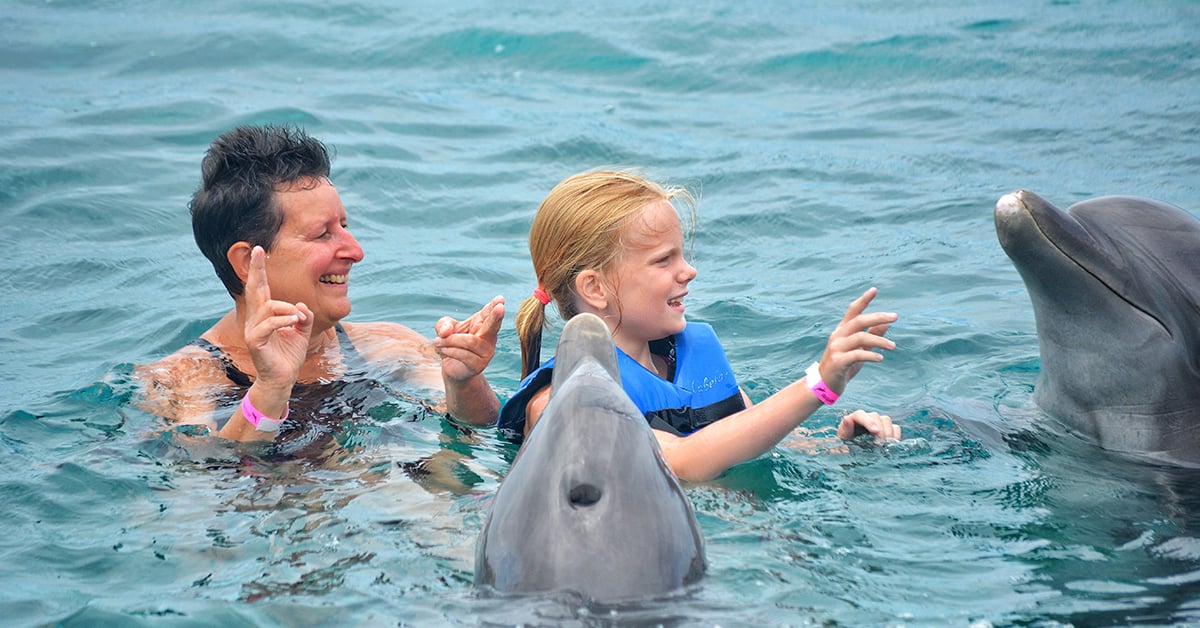 Dolphin Swim: all you can do to enjoy this fun experience.