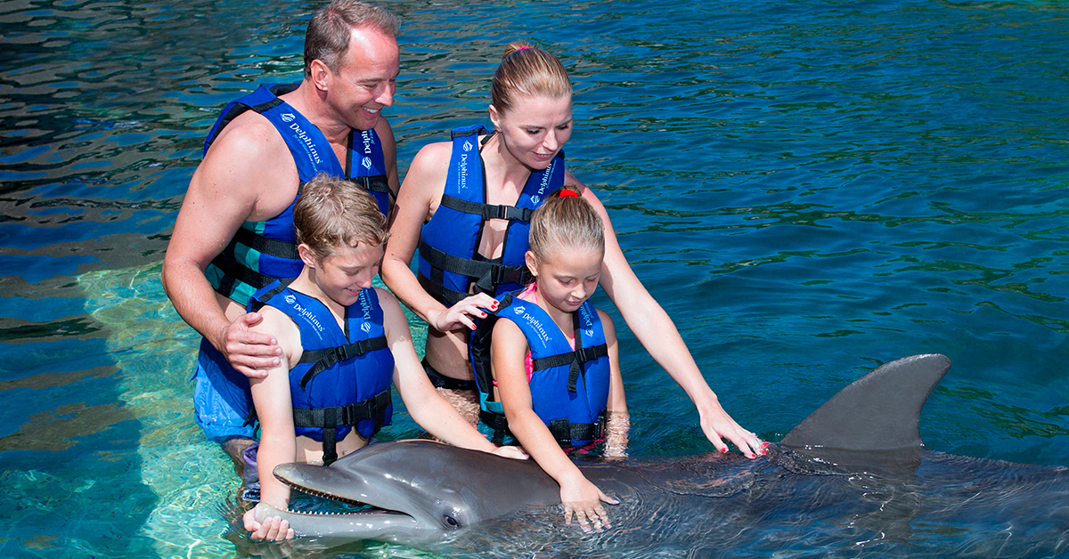 Nadar con delfines en México con perspectiva de bienestar animal
