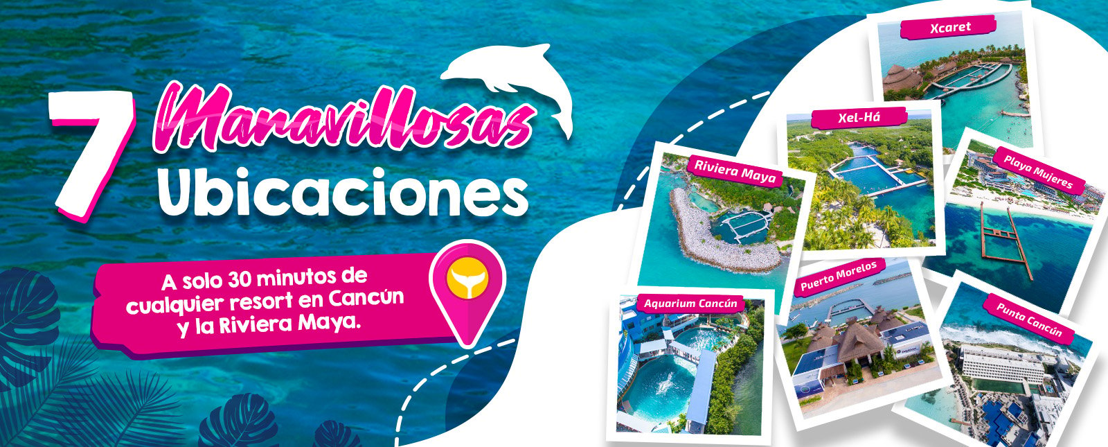 Ubicaciones Delphinus nado con delfines Cancun y Riviera Maya