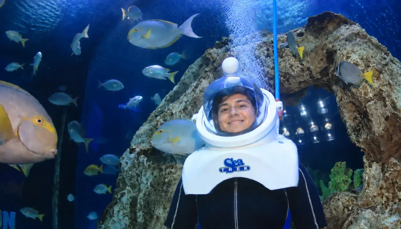 Actividades cerca de la Zona Hotelera de Cancún