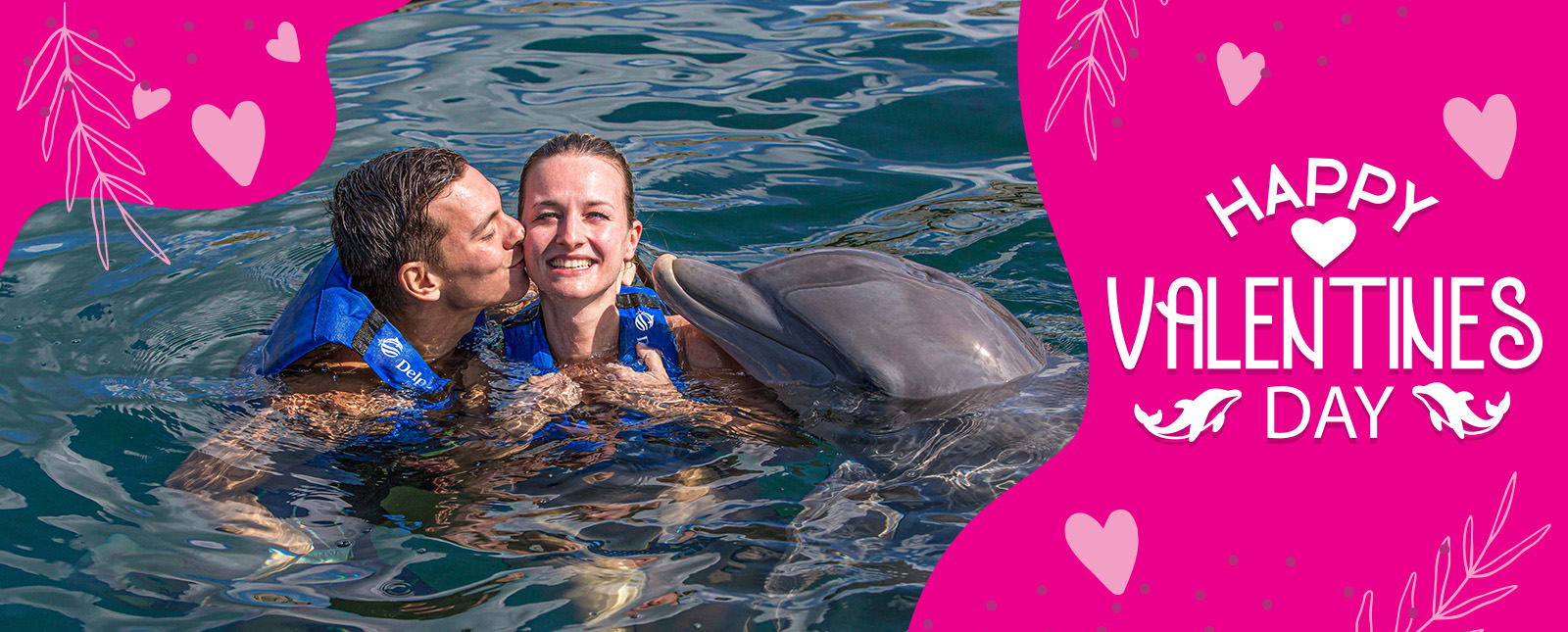 swim with dolphins in cancun and riviera maya