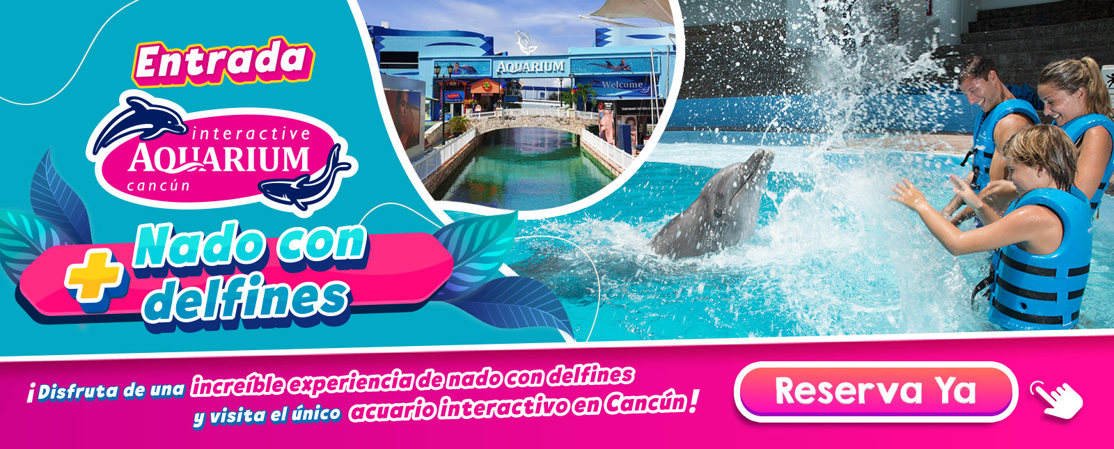 Nado con delfines cancun y riviera maya