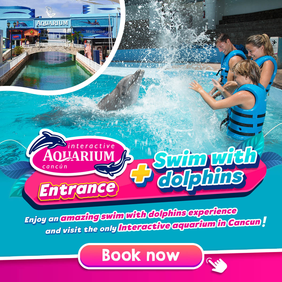 Swim with dolphins Cancun and Riviera Maya