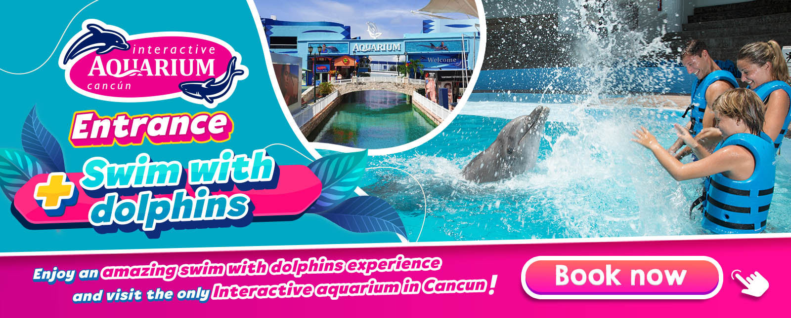 Swim with dolphins Cancun and Riviera Maya