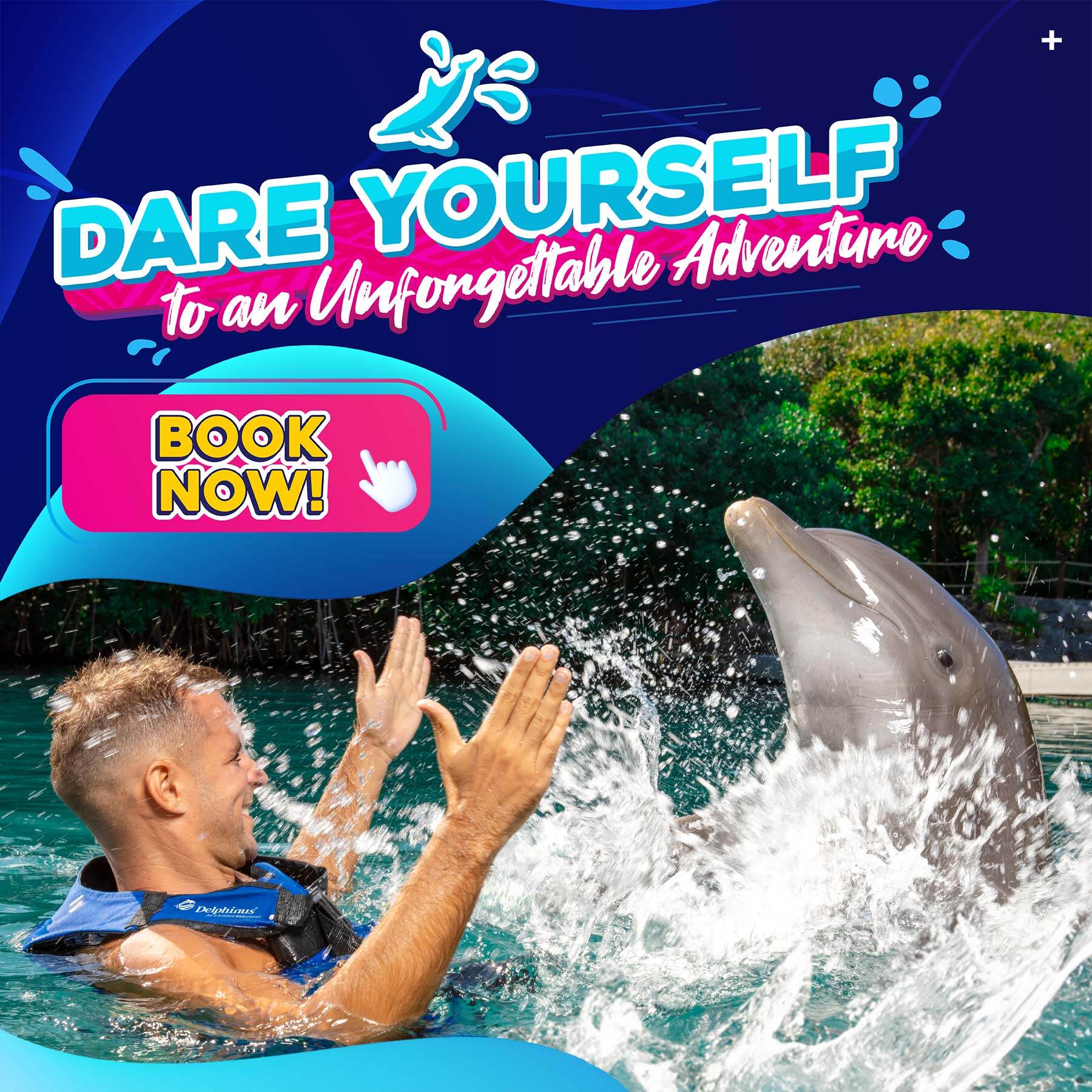 swim with dolphins cancun and riviera maya