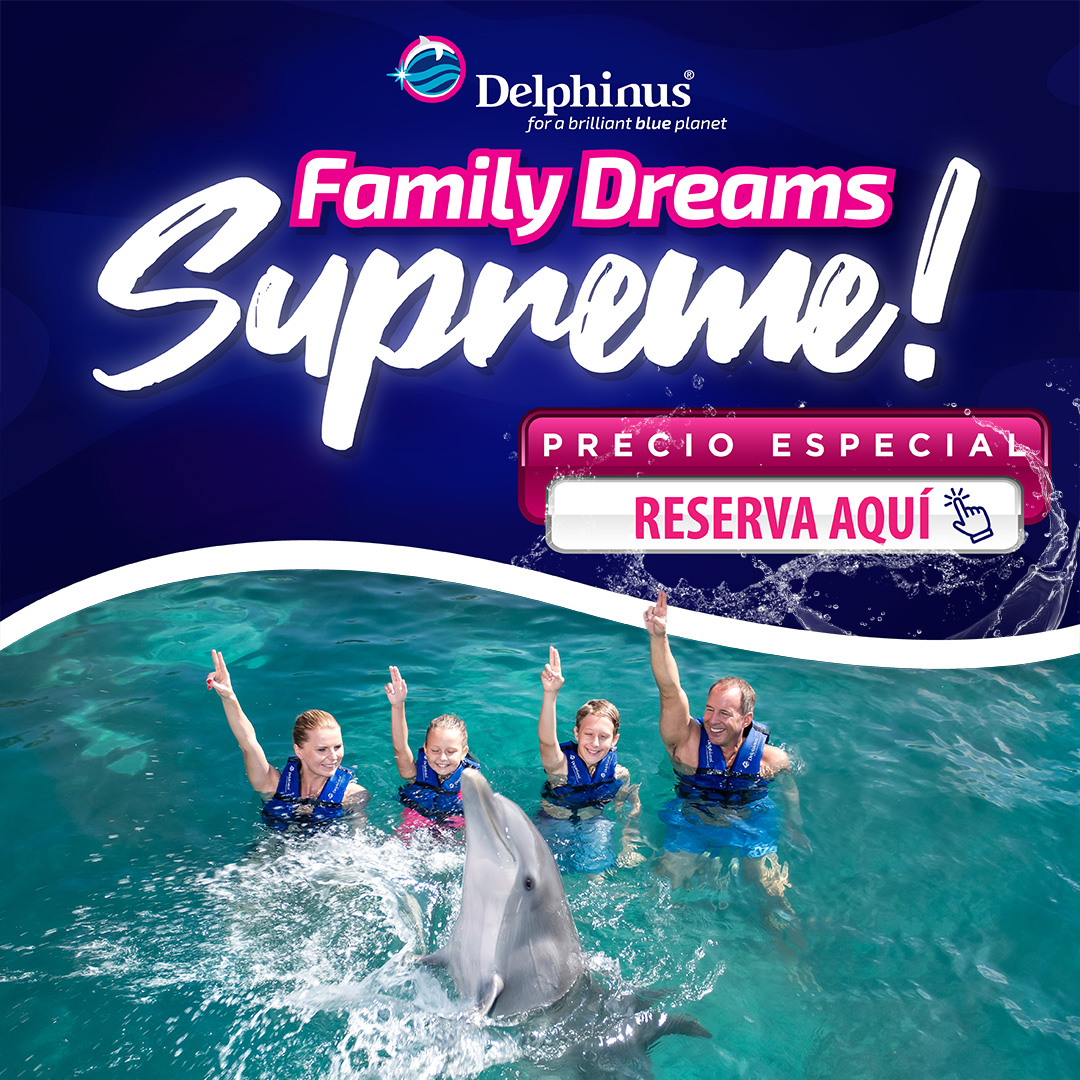 Nado con delfines en Cancun Playa Mujeres