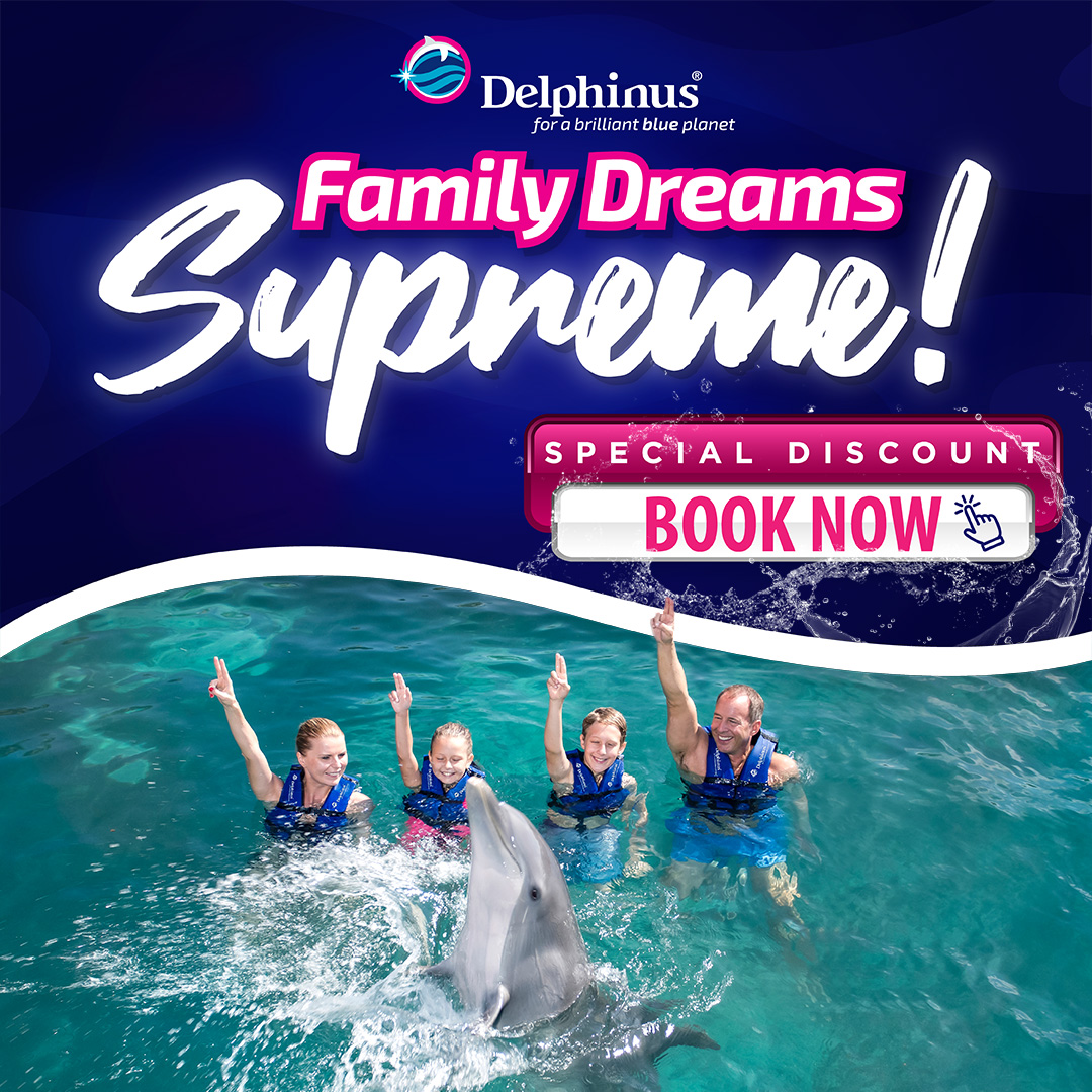 Swim with dolphins Cancun Playa mujeres
