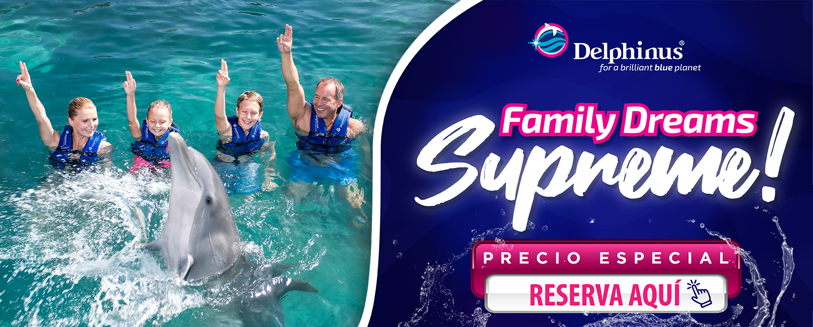 Nado con delfines en Cancun Playa Mujeres