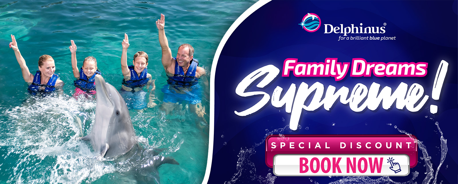 Swim with dolphins Cancun Playa mujeres
