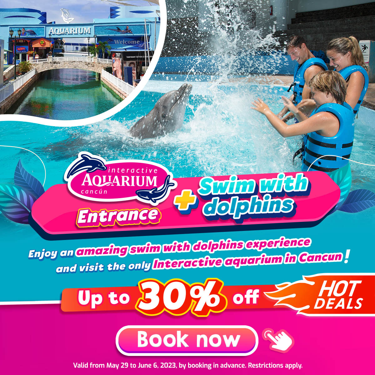 Swim with dolphins Cancun Hot deals