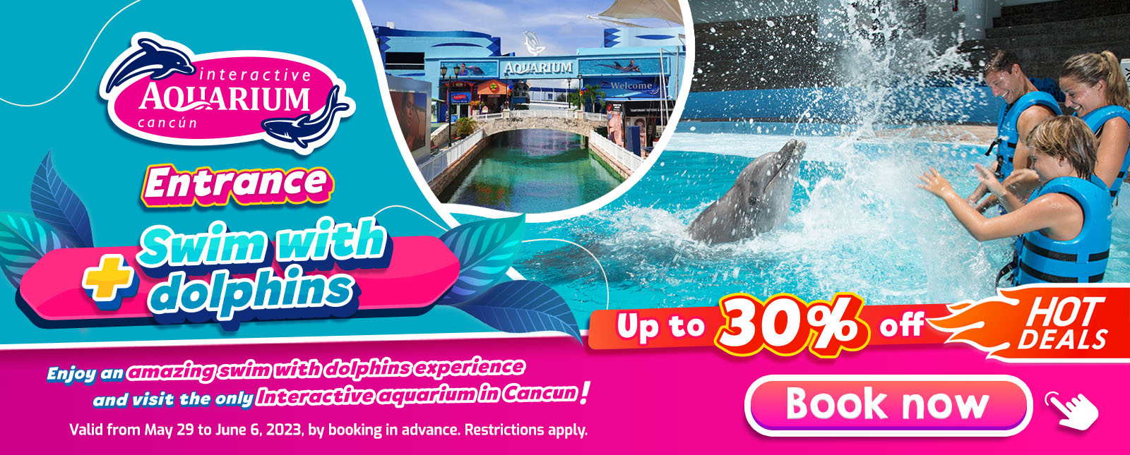 Swim with dolphins Cancun Hot deals