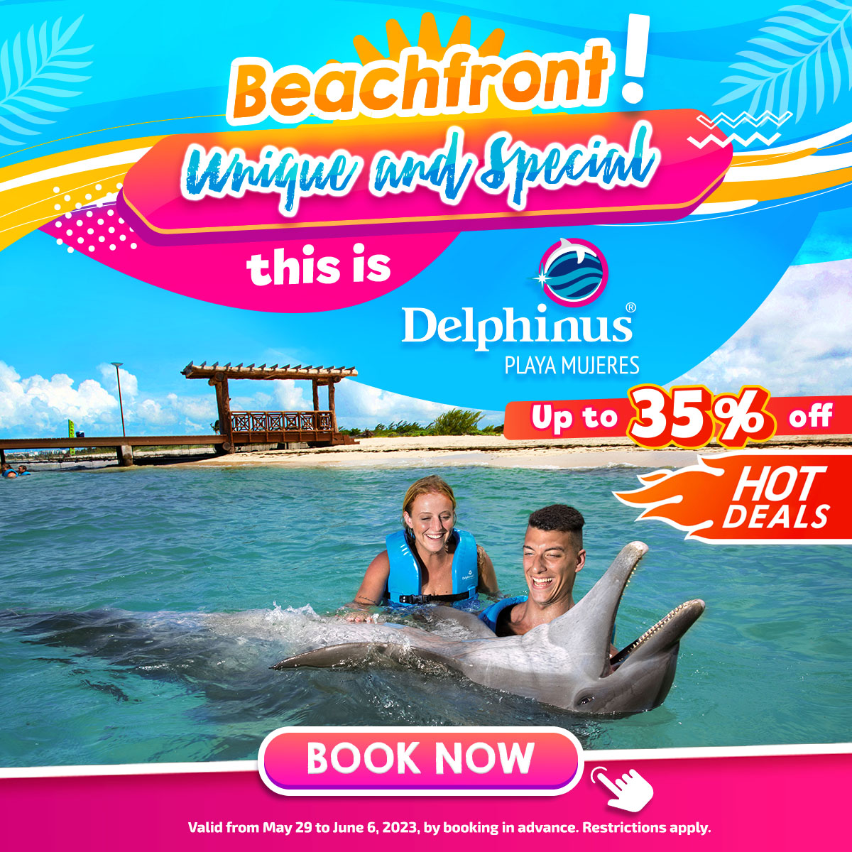 swim with dolphins playa mujeres hot deals