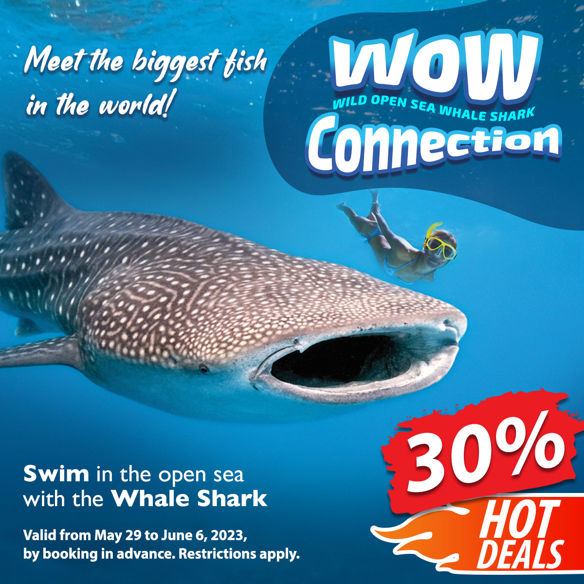 Swim with the whale shark in Cancun Discount Deals