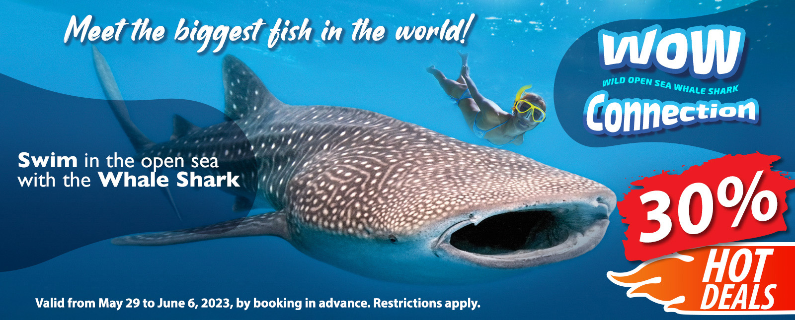 Swim with the whale shark in Cancun Discount Deals