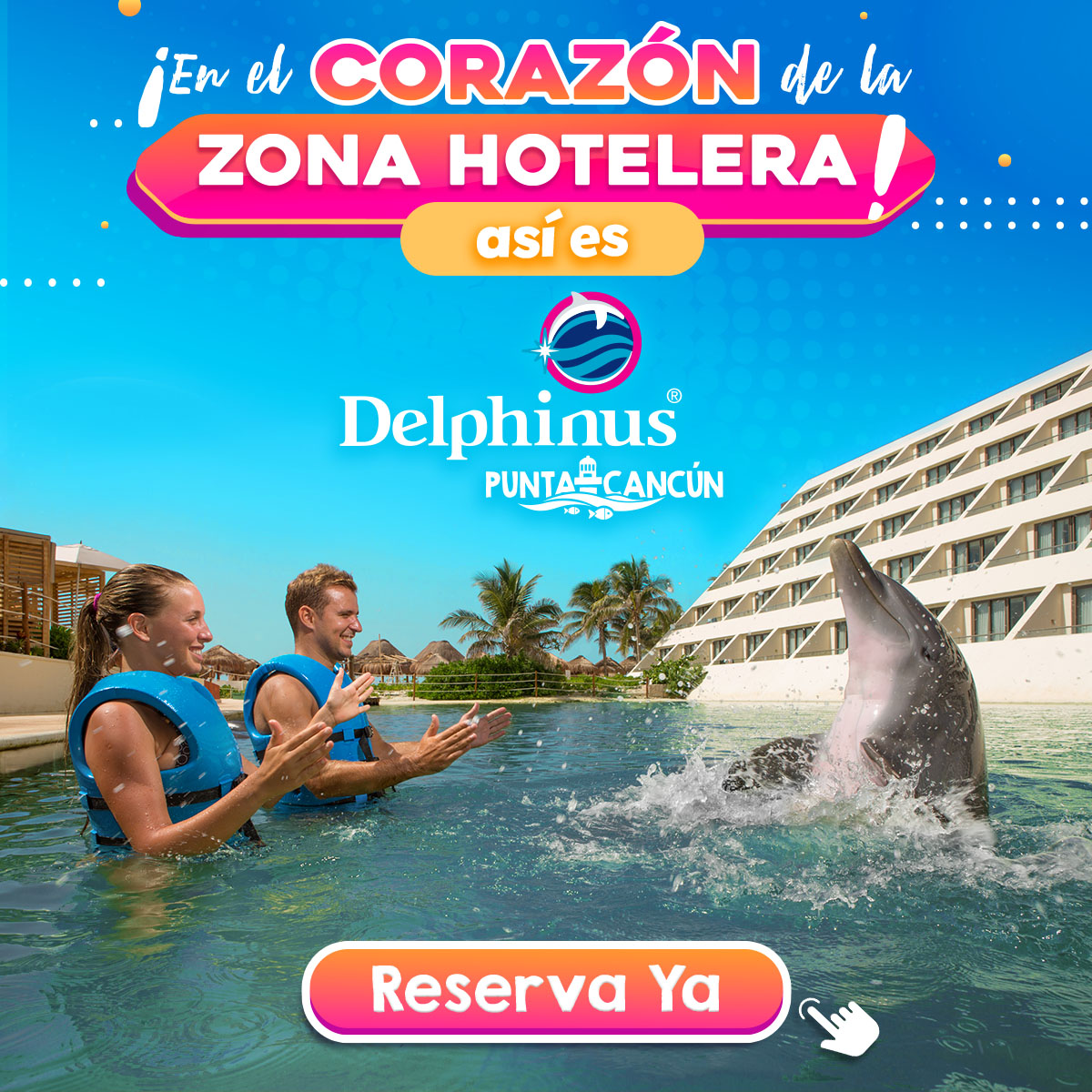 Nado con delfines cancun riviera maya
