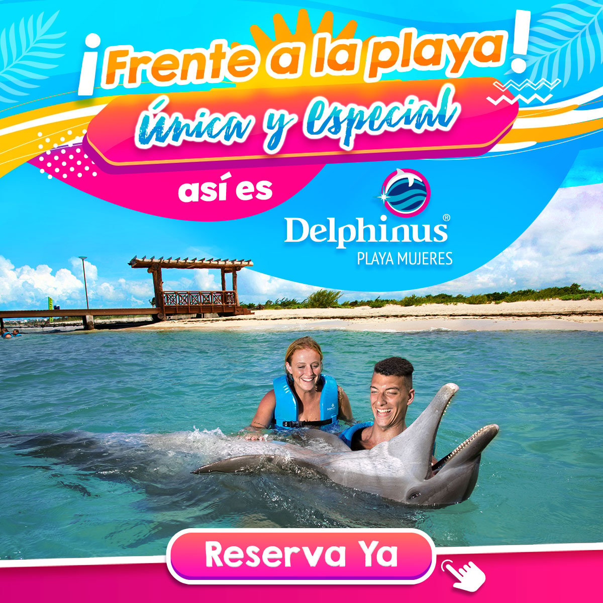 Nado con delfines Delphinus Playa Mujeres