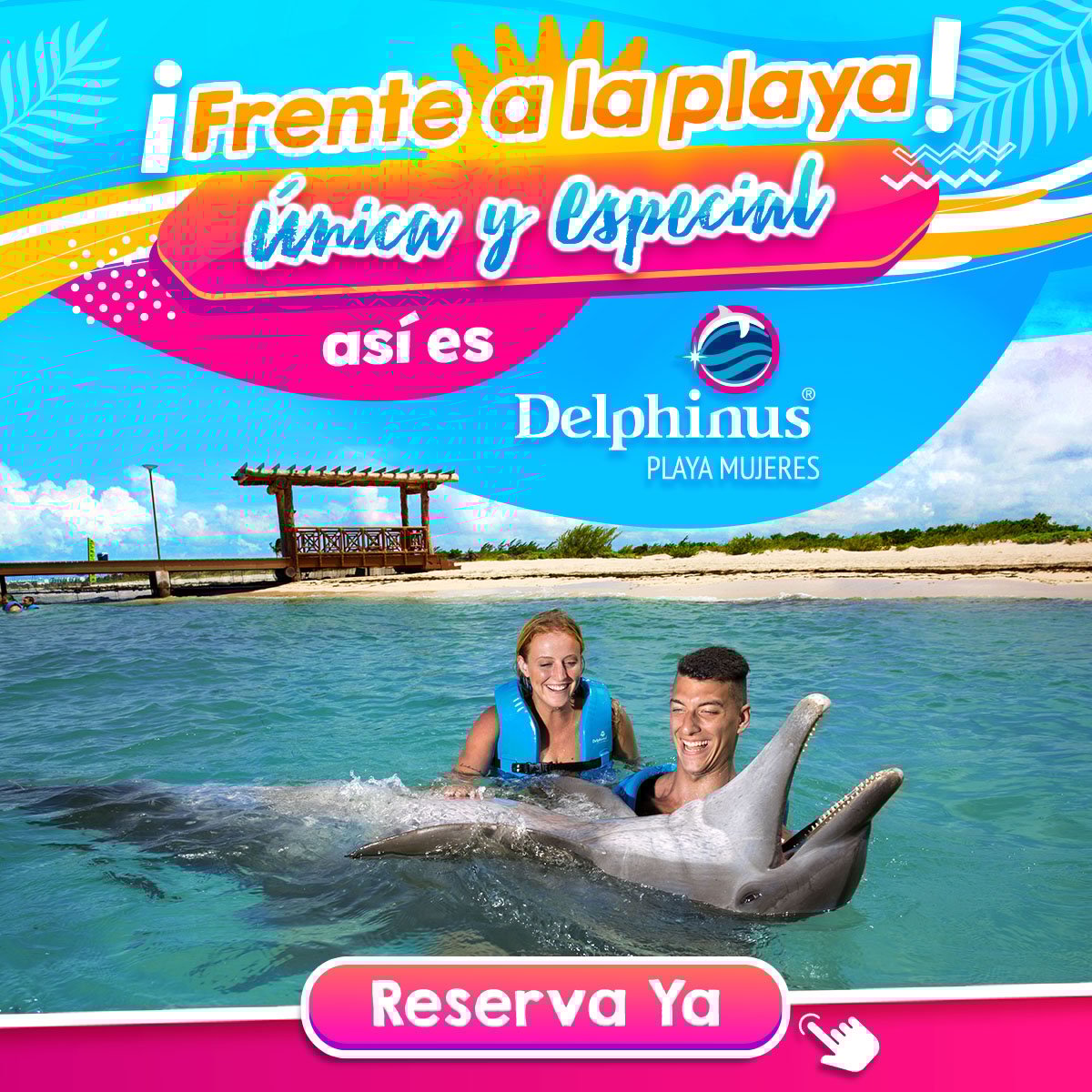 nado con delfines costa mujeres cancun playa mujeres