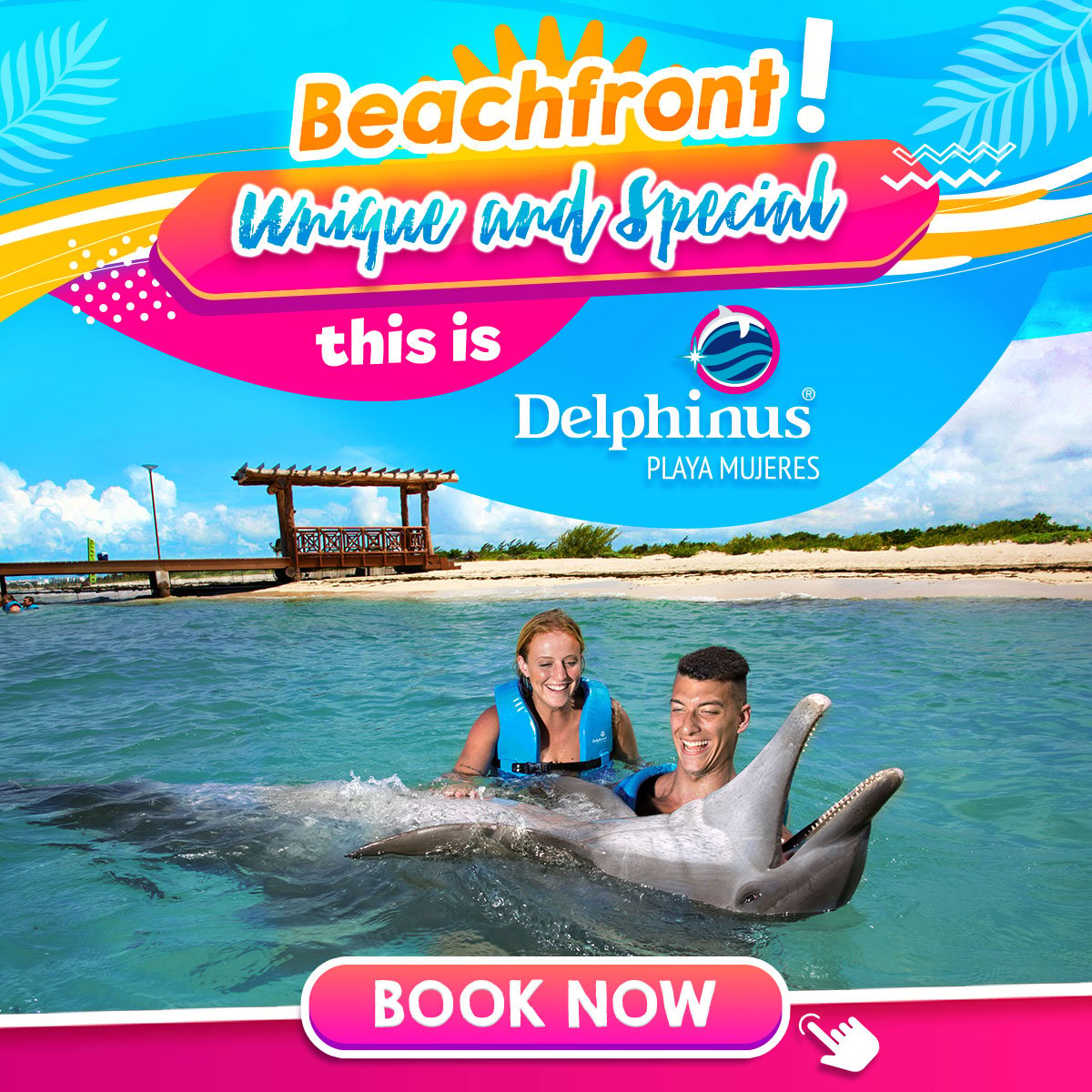 Swim with dolphins Delphinus Playa Mujeres