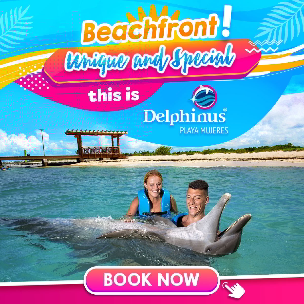 Swim with dolphins Delphinus Playa Mujeres