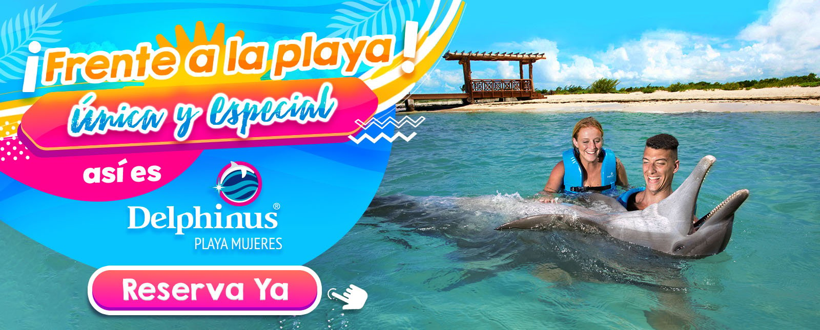 Nado con delfines Delphinus Playa Mujeres