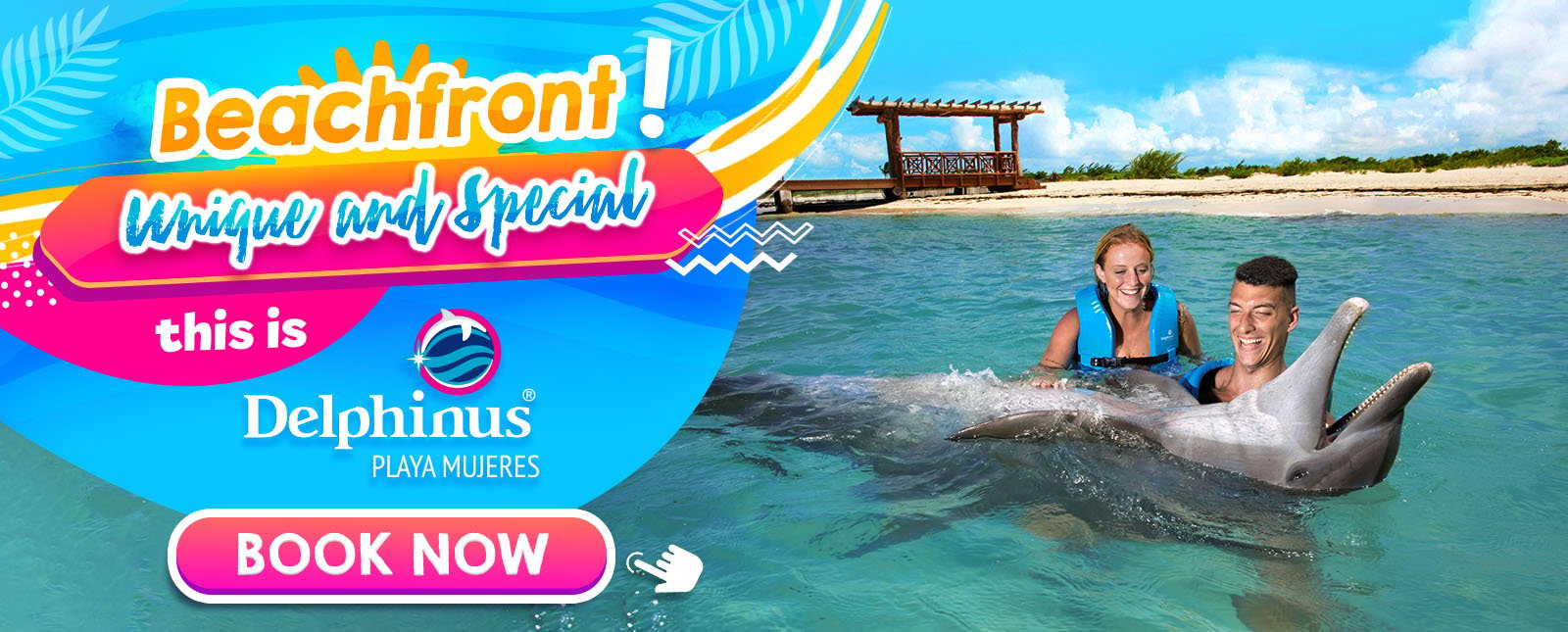 Swim with dolphins Delphinus Playa Mujeres