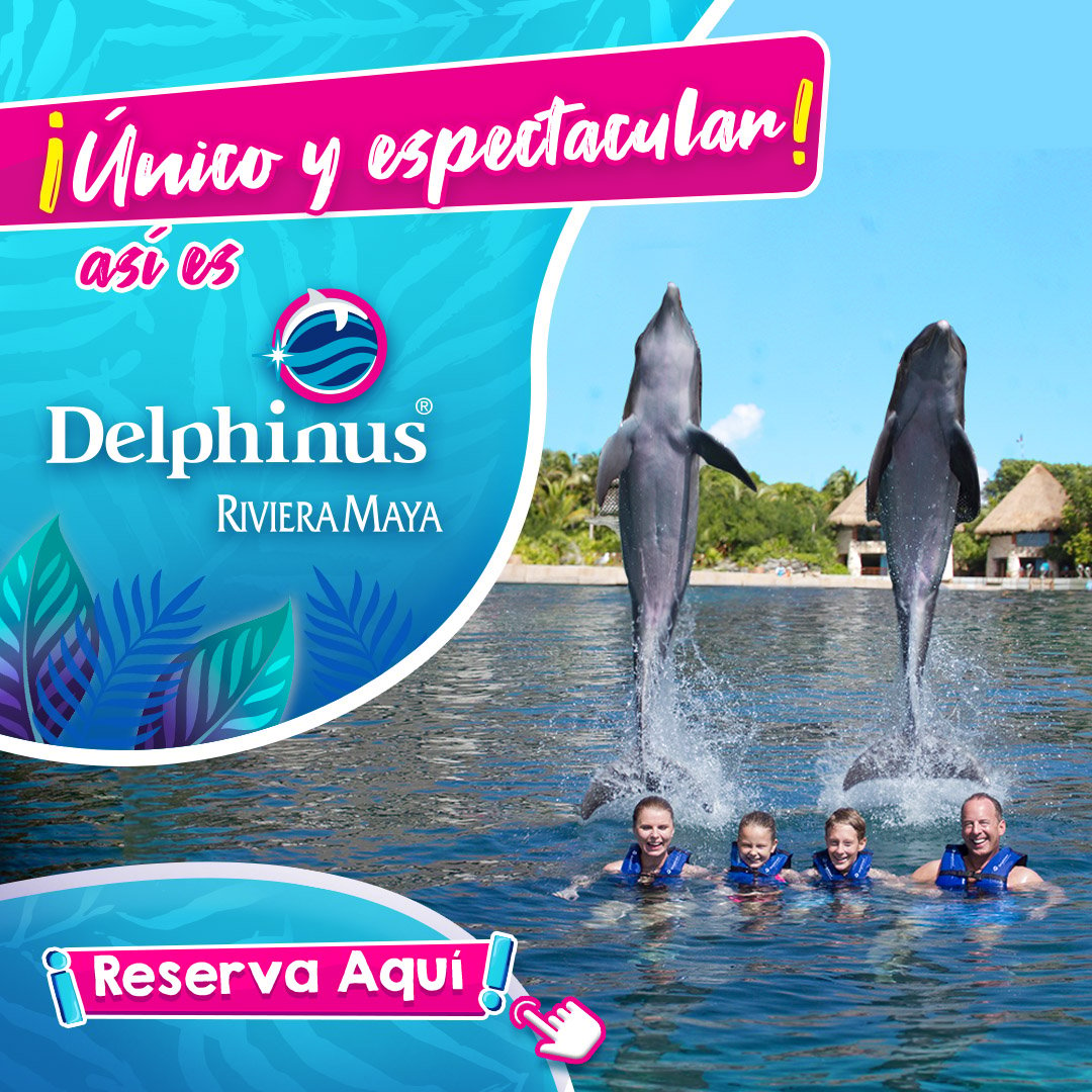 Nado con delfines Delphinus Riviera Maya