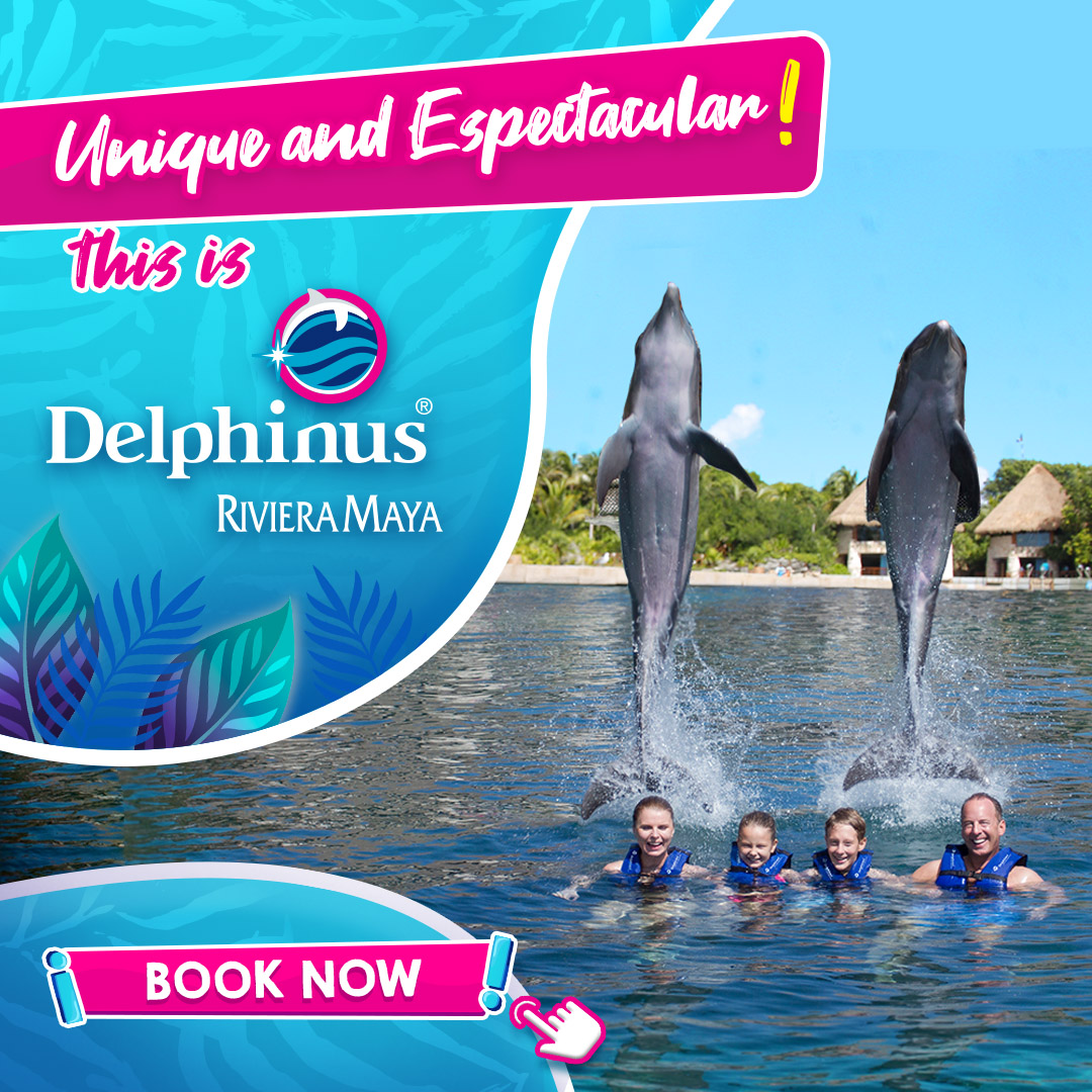 Swim with dolphins Delphinus Riviera Maya